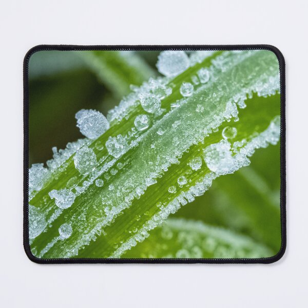 Item preview, frozen morning dew on blades of grass designed and sold by Kittykatnicole.