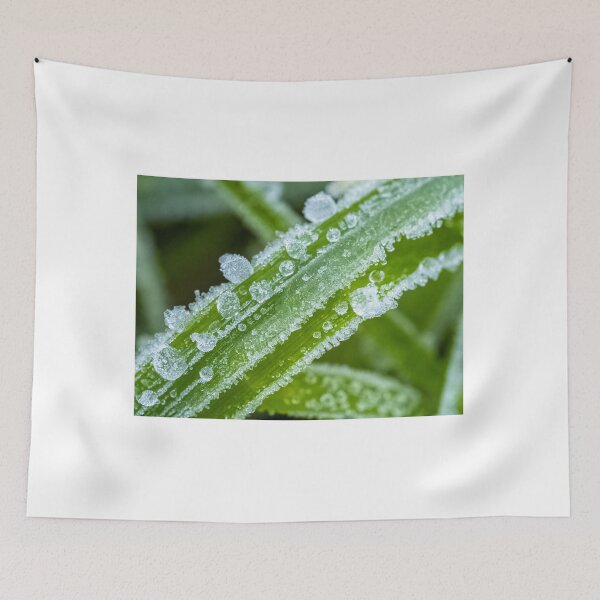 Item preview, frozen morning dew on blades of grass designed and sold by Kittykatnicole.