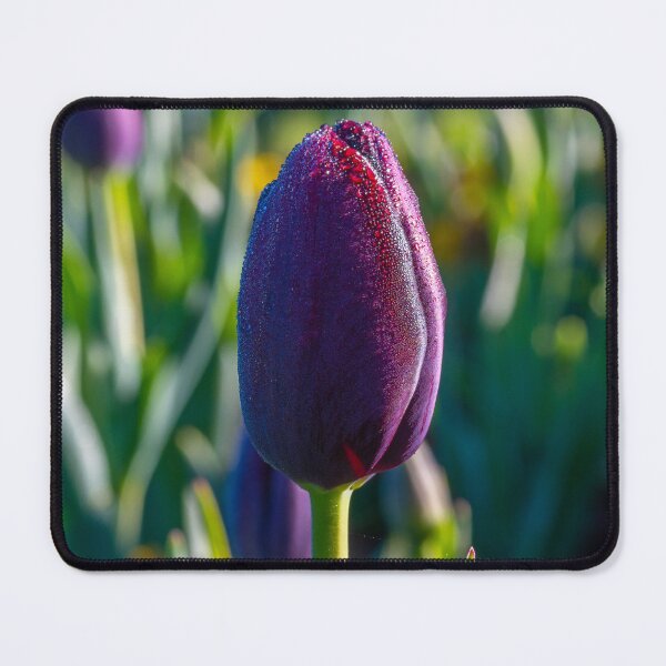Item preview, Purple Tulip designed and sold by DeltaBassBugs.
