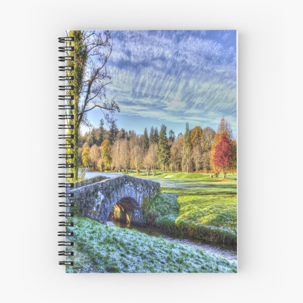 Item preview, Stone Bridge Dartmoor designed and sold by Londonimages.