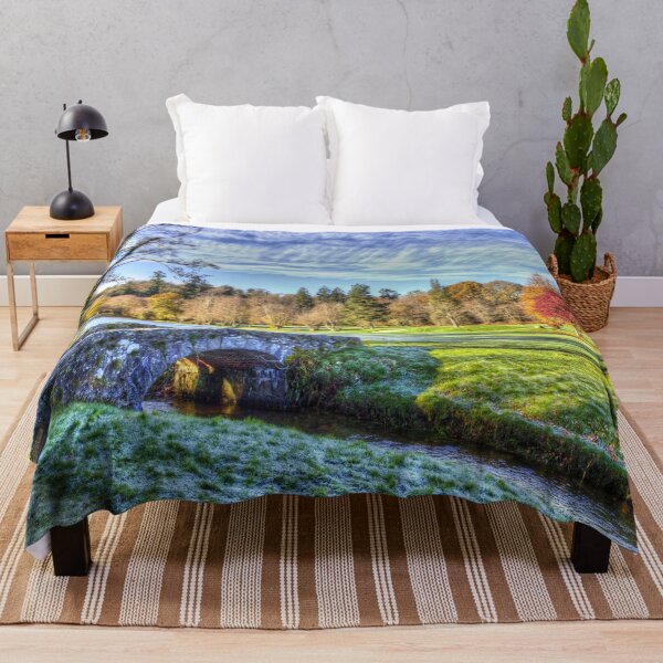 Item preview, Stone Bridge Dartmoor designed and sold by Londonimages.