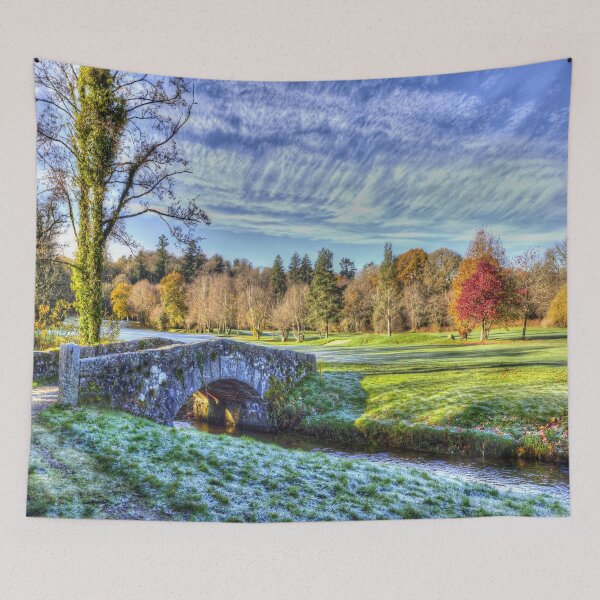 Item preview, Stone Bridge Dartmoor designed and sold by Londonimages.