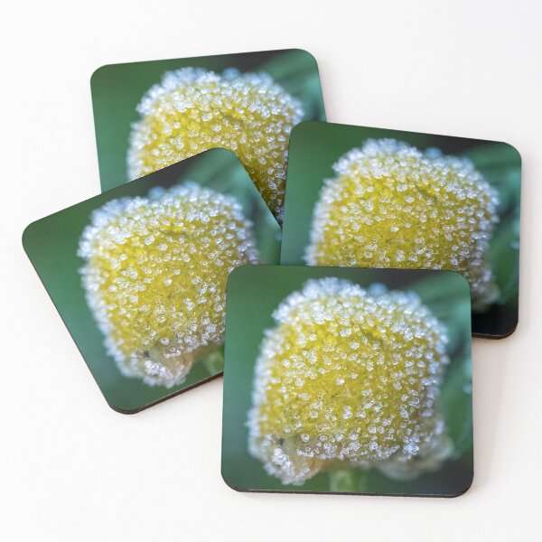 Item preview, frozen chamomile designed and sold by Kittykatnicole.