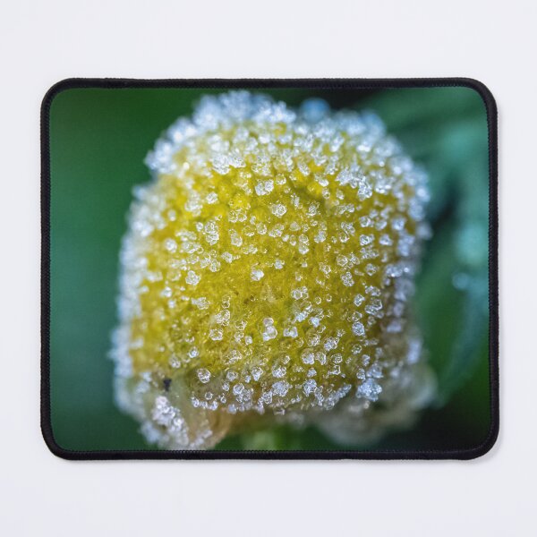 Item preview, frozen chamomile designed and sold by Kittykatnicole.