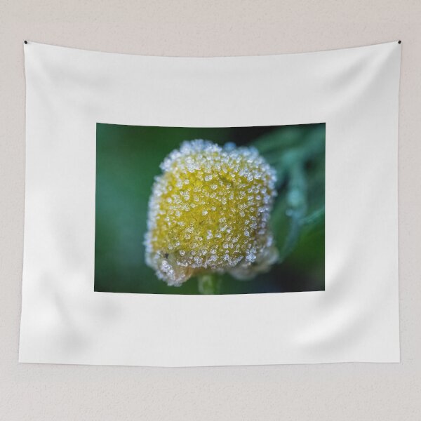 Item preview, frozen chamomile designed and sold by Kittykatnicole.