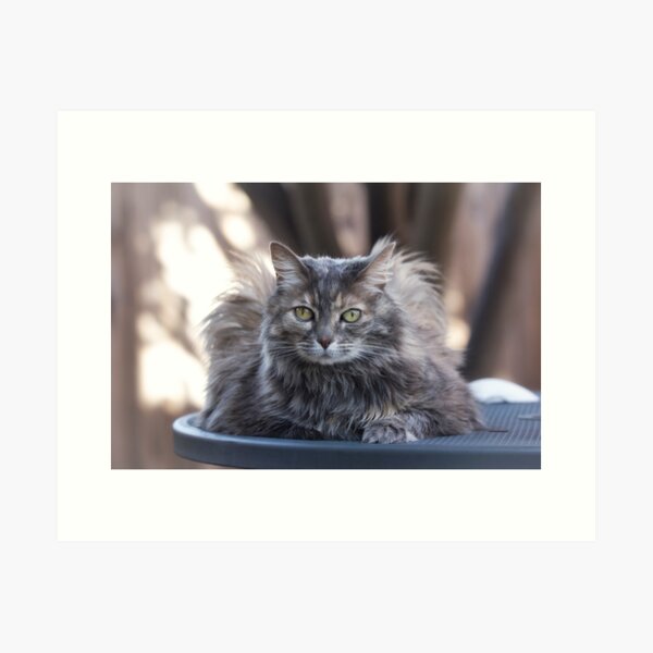 Item preview, Beautiful girl designed and sold by Lynn Starner.