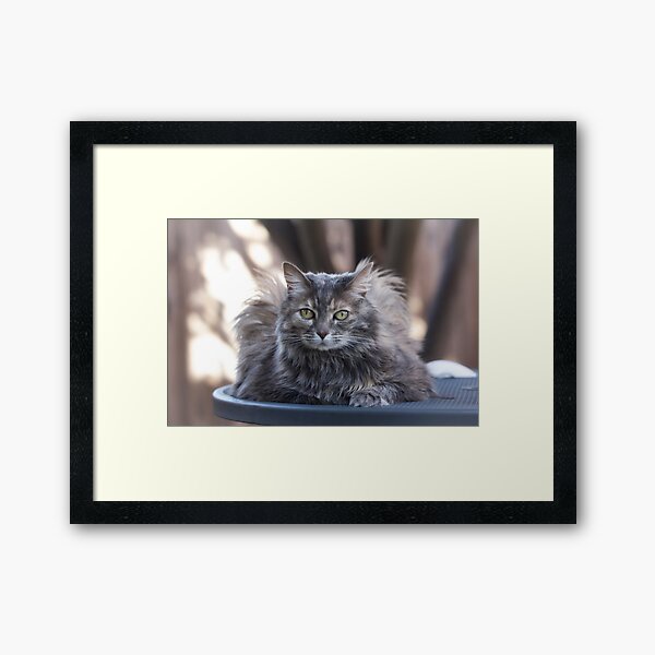 Item preview, Beautiful girl designed and sold by Lynn Starner.