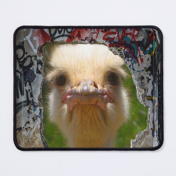 Item preview, Grumpy Urban Bird designed and sold by Surreallytee.