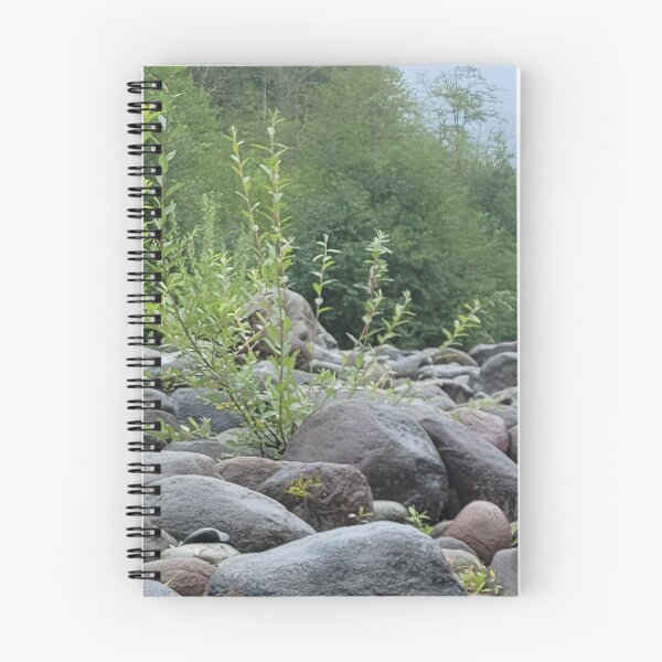 Item preview, riverbed designed and sold by Bruce  Dickson.