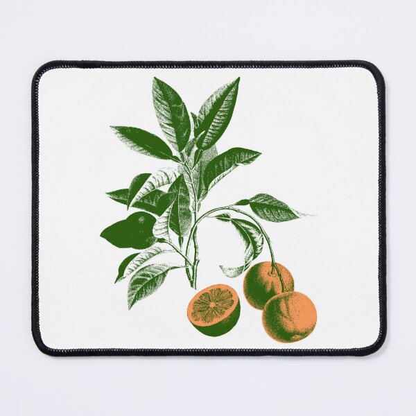Item preview, bitter orange tree designed and sold by FieldScent.