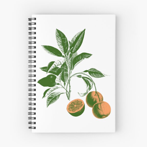 Item preview, bitter orange tree designed and sold by FieldScent.