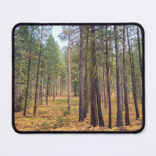 Item preview, forestscape designed and sold by Bruce  Dickson.