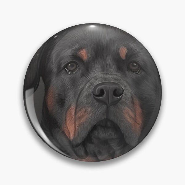 Item preview, Drawing dog rottweiler  designed and sold by bonidog.