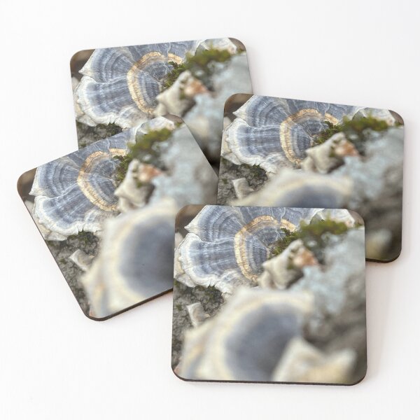 Item preview, turkeytail designed and sold by MadMarNH.