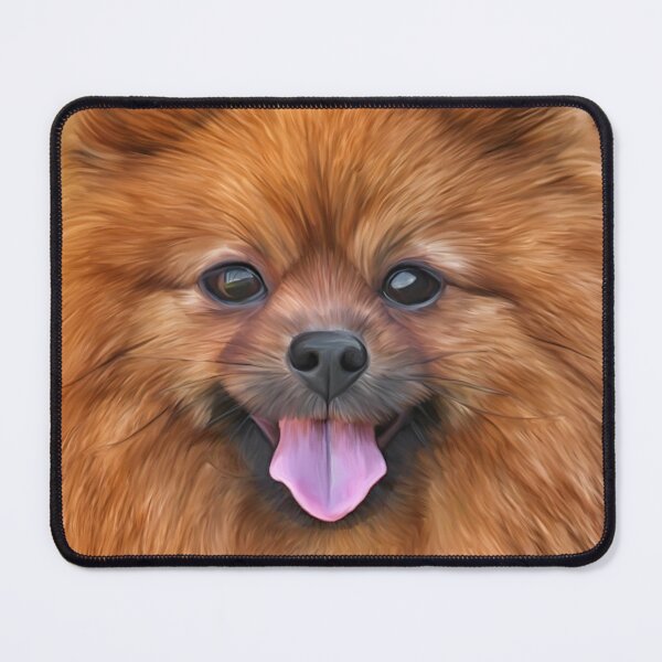 Item preview, Drawing Dog Pomeranian Spitz designed and sold by bonidog.