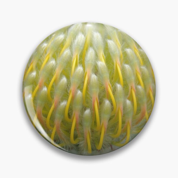 Item preview, Leucospermum designed and sold by okomedesign.