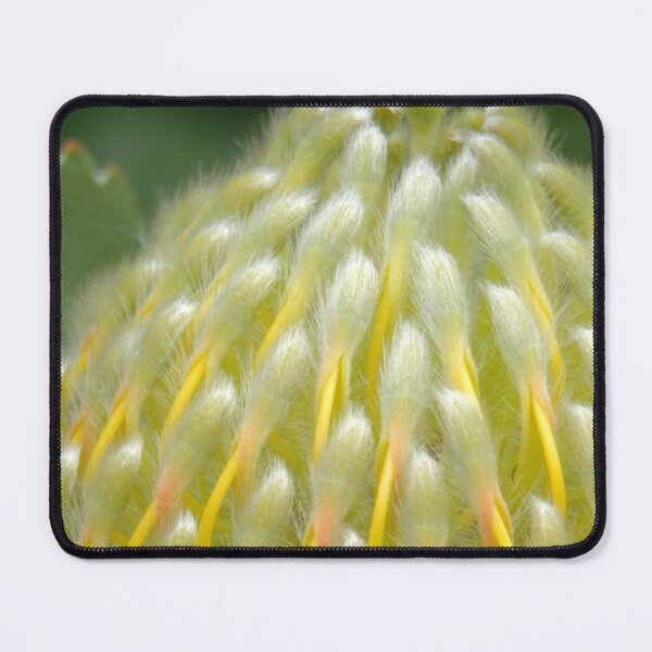 Item preview, Leucospermum designed and sold by okomedesign.