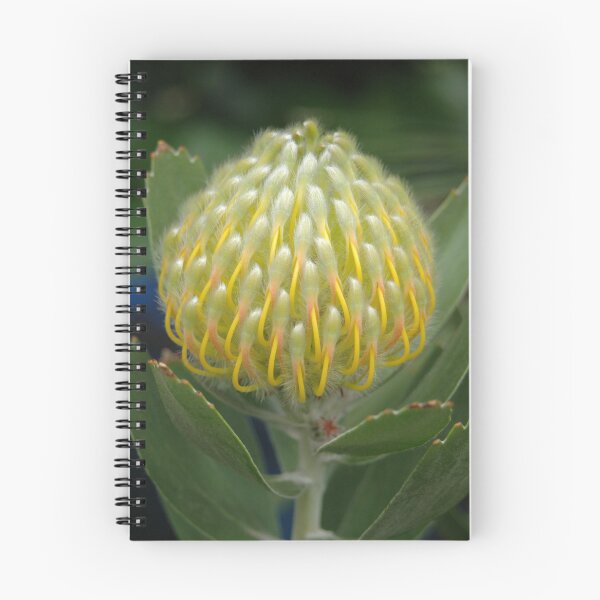 Item preview, Leucospermum designed and sold by okomedesign.