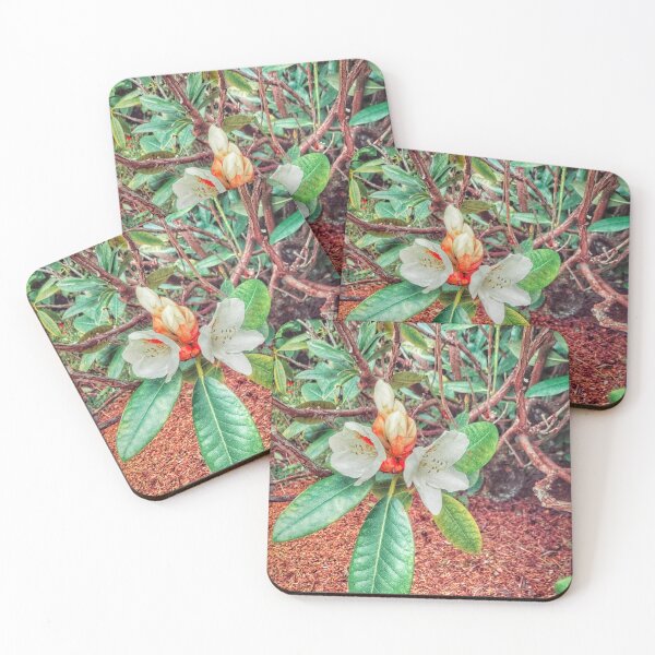 Item preview, rhododendron regard designed and sold by Bruce  Dickson.