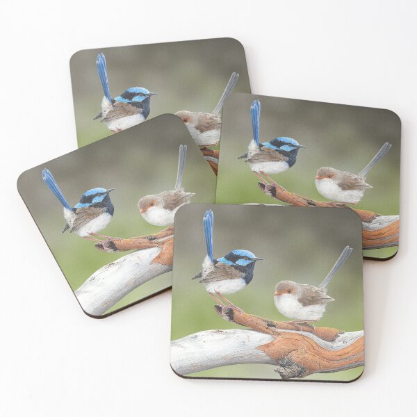 Item preview, "Cuteness Overload" (Superb Fairy-wrens) designed and sold by Frances McMahon Watercolour Bird Artist.