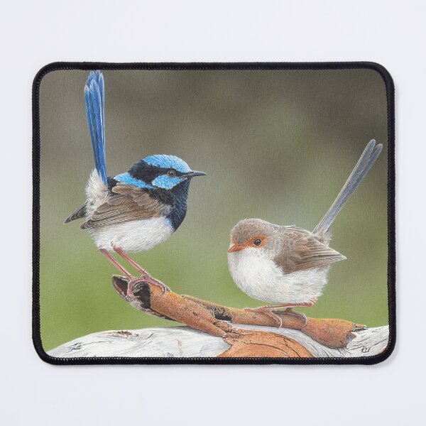 Item preview, "Cuteness Overload" (Superb Fairy-wrens) designed and sold by Frances McMahon Watercolour Bird Artist.