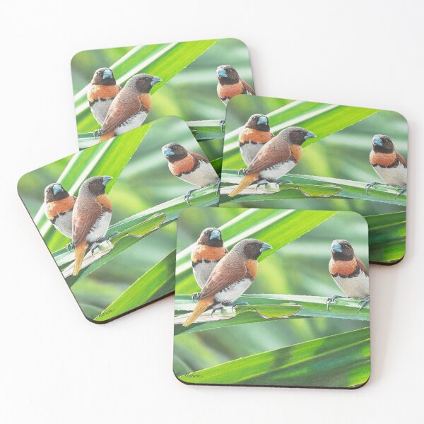 Item preview, Pandanus Party (Chestnut-breasted Mannikins) designed and sold by Frances McMahon Watercolour Bird Artist.