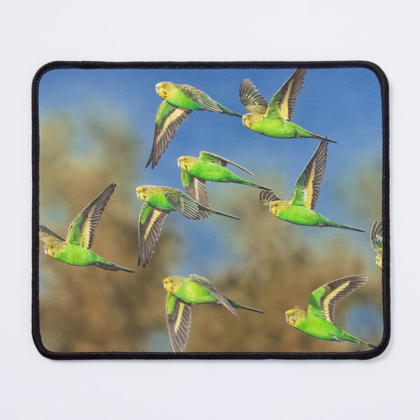 Item preview, Timber Creek (Budgerigars) designed and sold by Frances McMahon Watercolour Bird Artist.