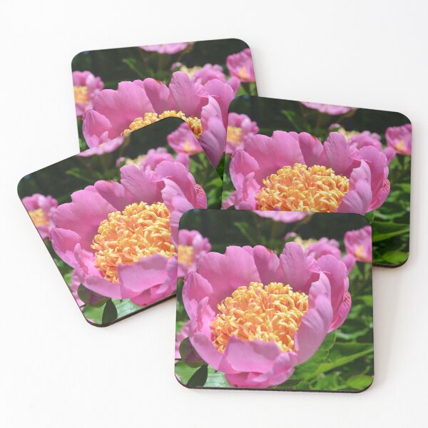 Item preview, Cheerful Bright Pink Peony designed and sold by Paula Betz.