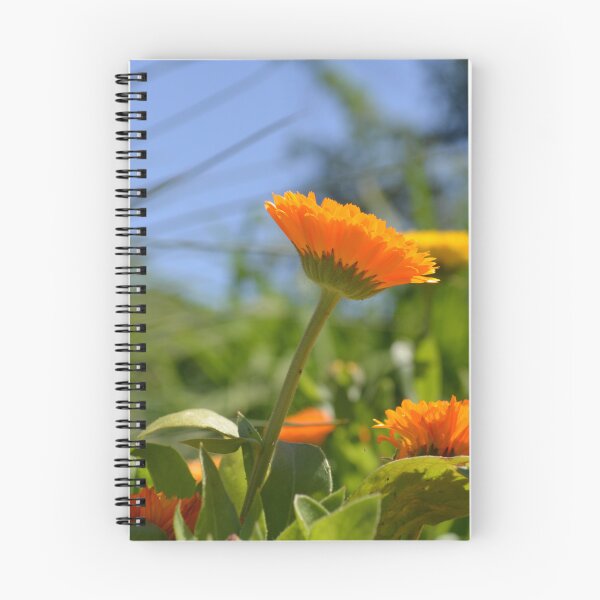 Item preview, Cheerful Orange and Yellow Flowers designed and sold by Paula Betz.