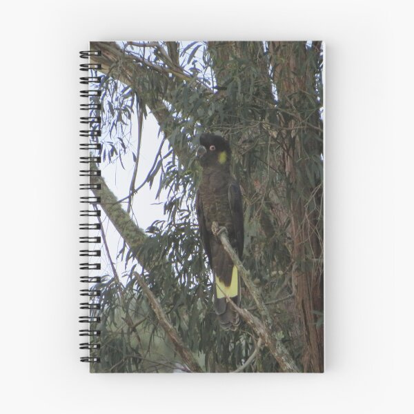 Item preview, yellow tail designed and sold by Bob-tography.