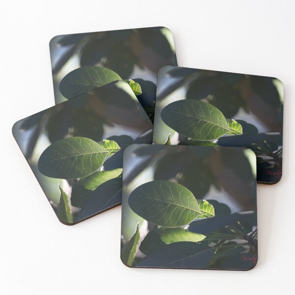 Item preview, Close Ups (3) designed and sold by Wolf Sverak Photography.