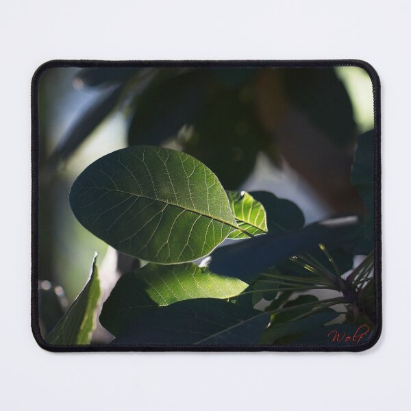 Item preview, Close Ups (3) designed and sold by Wolf Sverak Photography.