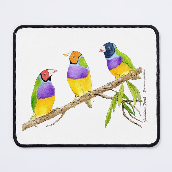 Item preview, Gouldian finch bird citrus green designed and sold by mazdavisart.