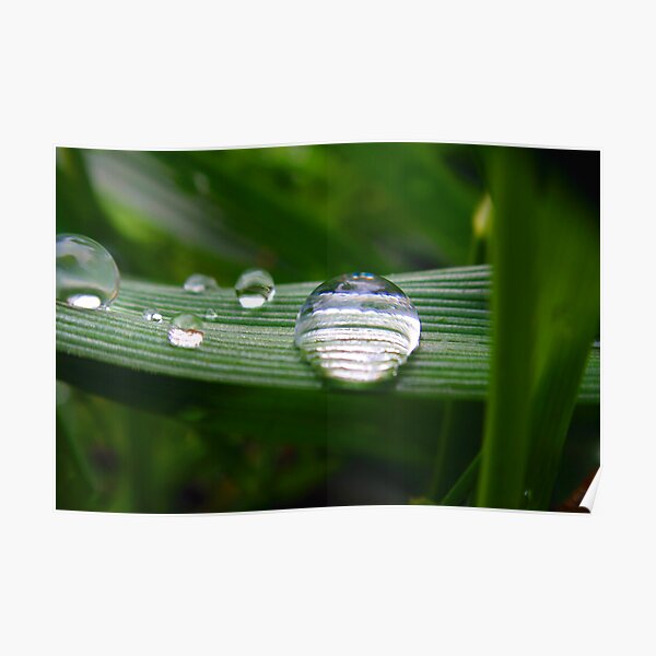 Drops of Jupiter Poster