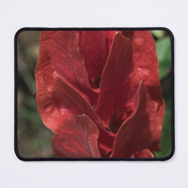 Item preview, Towering Vermilion designed and sold by ROSE ANN BANILAR.