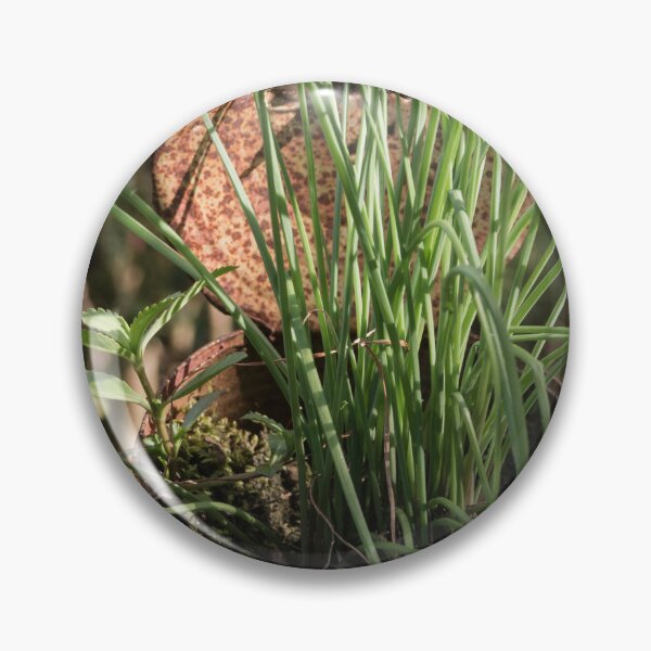 Item preview, Chives designed and sold by ROSE ANN BANILAR.