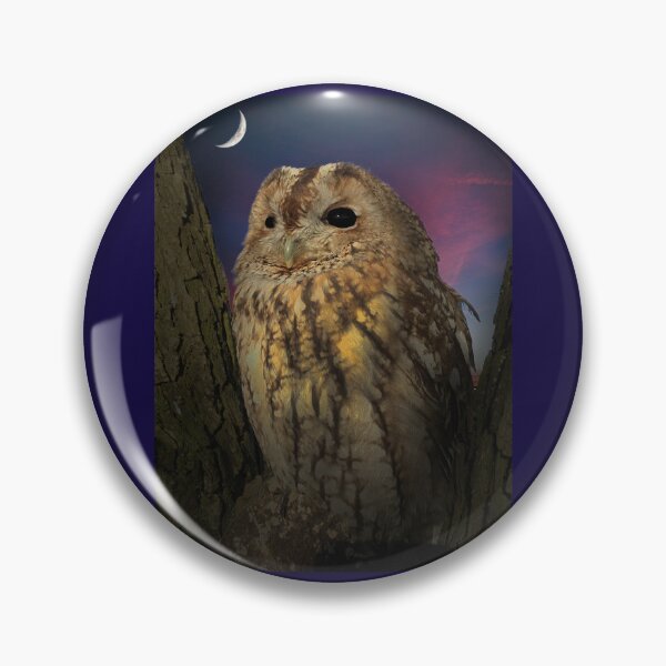 Item preview, Tawny Owl designed and sold by Alisonchambers2.
