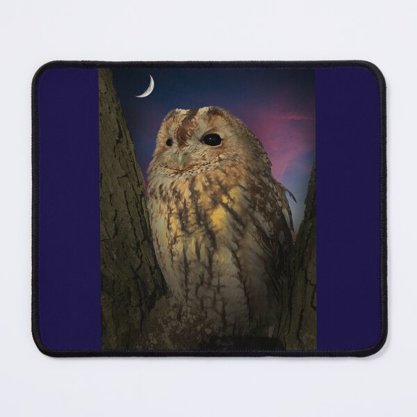 Item preview, Tawny Owl designed and sold by Alisonchambers2.