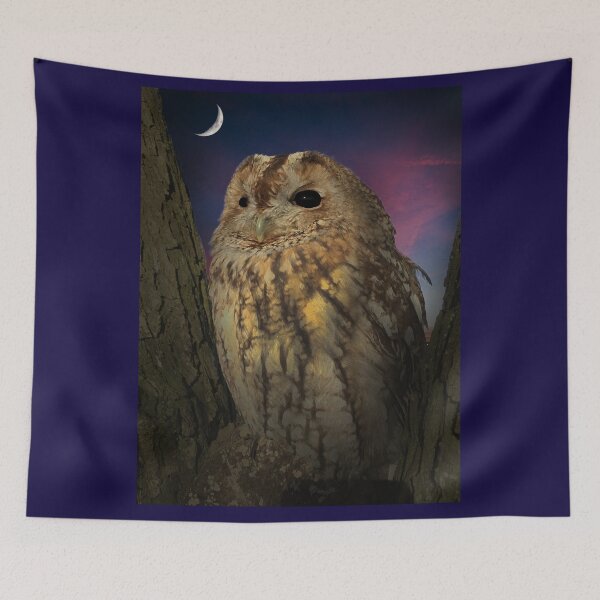 Item preview, Tawny Owl designed and sold by Alisonchambers2.