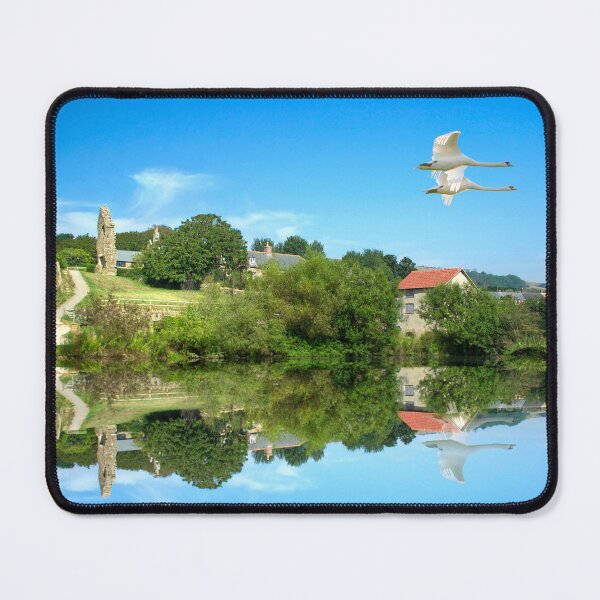 Item preview, Abbotsbury Swans designed and sold by Alisonchambers2.