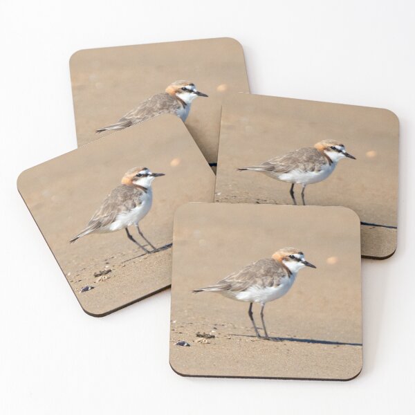 Item preview, Red-capped Plover at the Beach designed and sold by Matt Vickery.