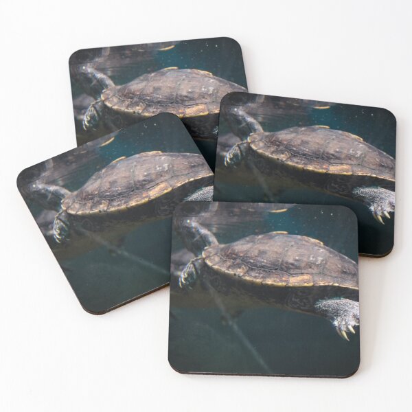 Item preview, Turtle feets for free designed and sold by Belles-Photos.