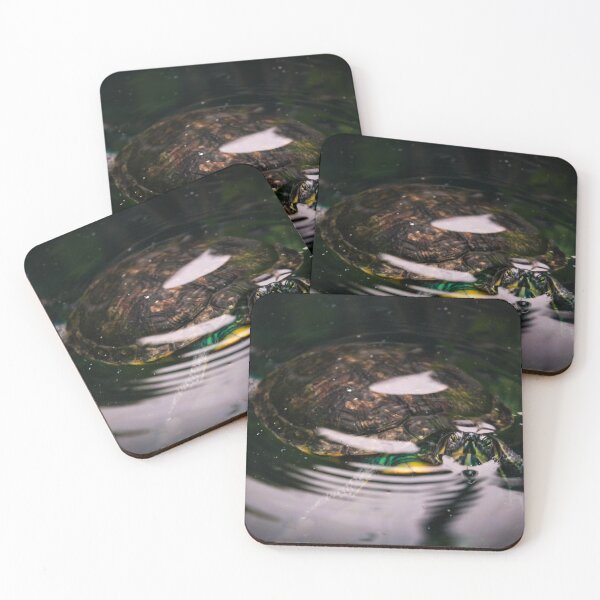 Item preview, Turtle admiration  designed and sold by Belles-Photos.