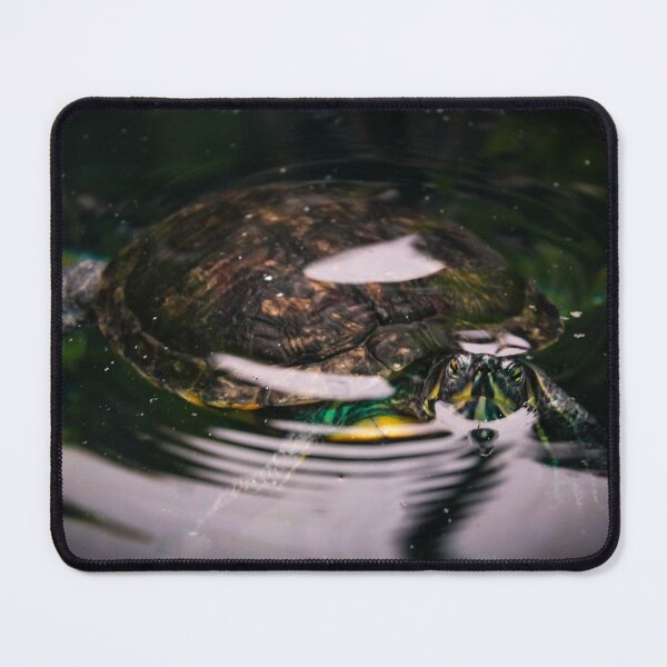 Item preview, Turtle admiration  designed and sold by Belles-Photos.
