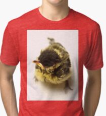 Great Tit Chick Tri-blend T-Shirt