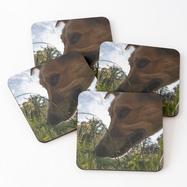 Item preview, Funny Face designed and sold by Calidris Fotografie Steffi & Ben Köppler.