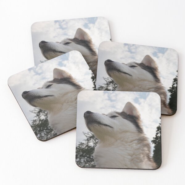 Item preview, Snob designed and sold by Calidris Fotografie Steffi & Ben Köppler.