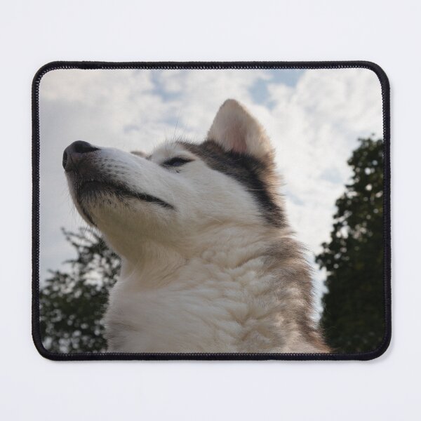 Item preview, Snob designed and sold by Calidris Fotografie Steffi & Ben Köppler.