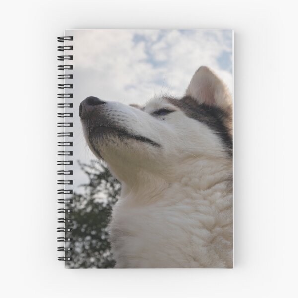 Item preview, Snob designed and sold by Calidris Fotografie Steffi & Ben Köppler.