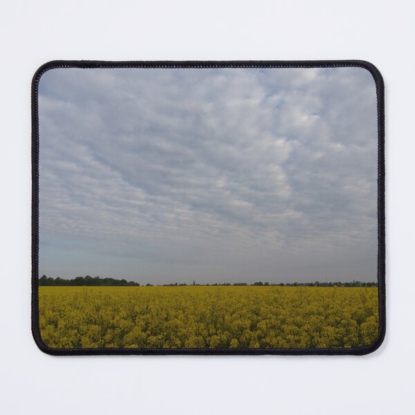 Item preview, Rapeseed Field designed and sold by Calidris Fotografie Steffi & Ben Köppler.